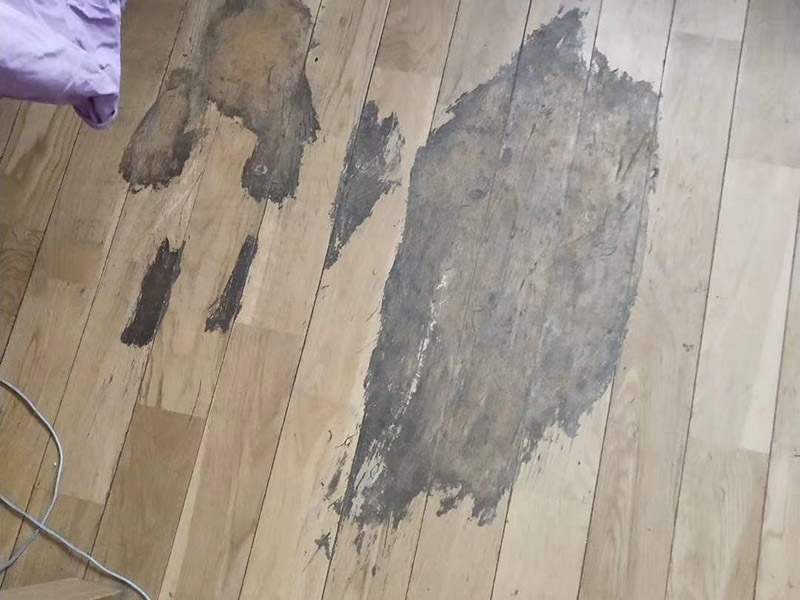 地板局部修復(fù):如果局部破損嚴重則需要先將需更換的地板破壞掉，然后徹底取出。 （1）先用工具將要更換的地板短邊處鑿出一個縫隙，再用鋸將需更換的地板表面鋸開；然后將分成小片的地板取出，但一定要保證不破壞周圍的地板； （2）然后將拆下的地板周圍的膠水清理干凈，并保證清理好的榫槽便于安裝，如果清理不徹底，接縫會不平或不嚴?？梢杂糜行麻绢^小片地板在接口上來回滑動，找出殘留膠跡并清除，以保證修復(fù)后的地板美觀，同樣需要注意的是不要損壞周圍的榫槽； （3）接下來處理新地板，鋸掉新地板槽口一邊的下半部分并清理干凈整個榫槽，注意預(yù)留一些空間，因外涂抹膠水后會占用一定的空間； （4）最后將新地板安裝到需要替換的位置，將原四周地板榫頭涂滿膠水，并在新地板榫槽處也施上膠水，然后放在起下廢板塊的空隙處，先將長邊榫舌與短邊榫舌的一角嵌入原四周地板的槽口邊，再用手按下槽口一邊，并墊木塊以專用工具輕輕砸入，注意安裝前先比一下長度是否一致，如果新板長了，可以修短一點，短了就只有拆裝整條地板了。