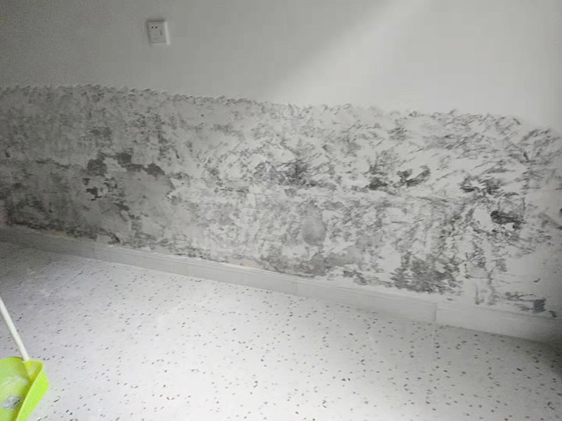 墻面局部鏟除防水：1、清理墻面：以鏟刀清除墻面已松動(dòng)的膩?zhàn)訉?。用鏟刀無法清除的膩?zhàn)訉樱梢杂眯″N子輕輕敲擊，如果沒有空鼓的聲音，并且敲后仍不松動(dòng)的地方可以保留原有的基層。 2、清洗墻面：用清潔水或洗滌靈將表面的浮塵、油污進(jìn)行徹底清洗干凈，然后用高壓水槍進(jìn)行徹底沖洗，清除已粉化的涂層。 3、修補(bǔ)墻面： （1）基層起皮的處理方法：鋼絲刷刷掉起皮的涂料面層，刷界面劑，重新進(jìn)行涂料施工。 （2）基層裂縫的處理方法：開V型槽，掛抗堿玻纖網(wǎng)格布，水泥砂漿抹面，批刮柔性膩?zhàn)?，進(jìn)行涂料施工。 （3）基層空鼓的處理方法：云石機(jī)切出空鼓的墻面，薄而多遍的水泥砂漿抹面，達(dá)到原有墻面的高度，刷界面劑，然后進(jìn)行涂料施工。