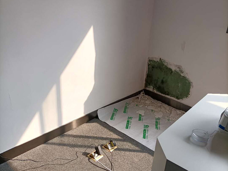 墻面局部修補施工:先將墻體破損凸出的地方鏟掉；取出從網(wǎng)上商城買的補墻膏補墻漆套裝；打開補墻膏，先攪拌均勻后，用小鏟抹少量補墻膏，填進坑洼起皮的部位，干燥24小時；隔天干后對墻體用砂紙打磨平整，用抹布把表面粉層擦拭掉；用補墻漆兌10%左右的水稀釋，攪拌均勻后用刷子涂在墻體上，進行2~3涂刷。