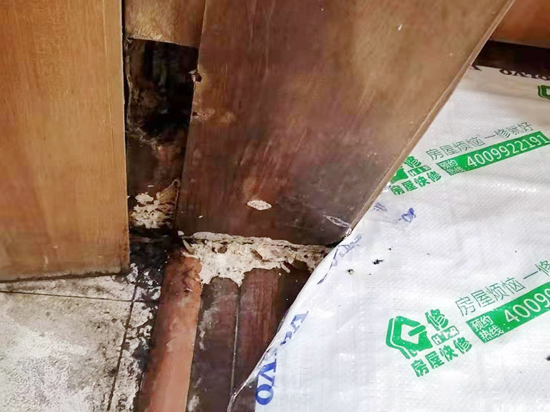 周口木門翻新哪里找專業(yè)師傅，木門翻新工藝是怎樣的