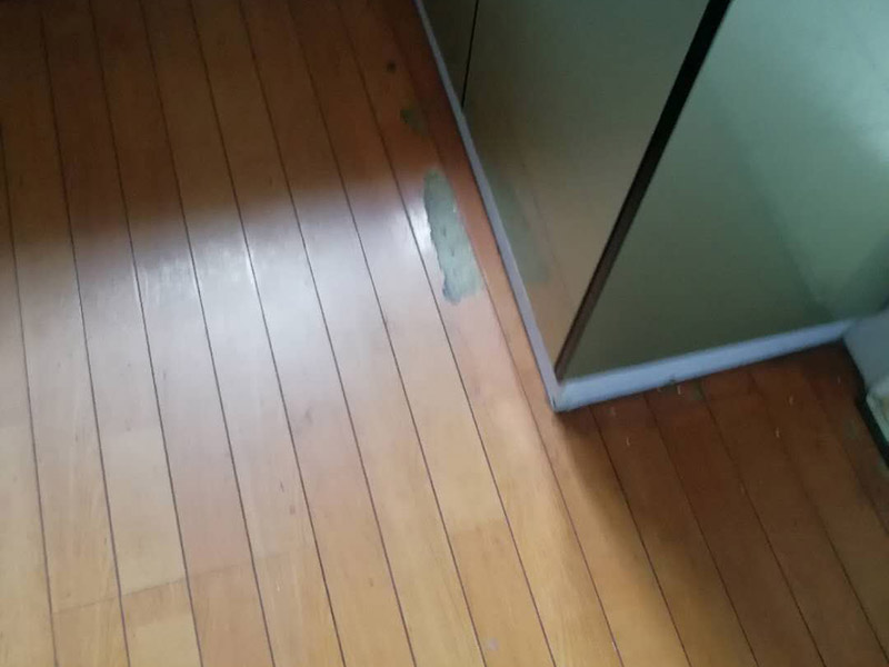 洛陽地板翻新要點，洛陽地板翻新條件